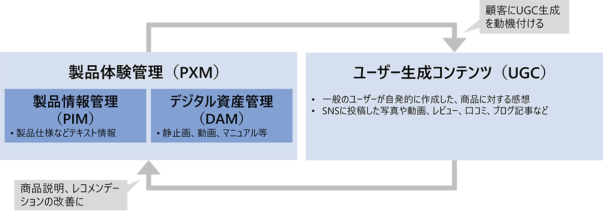 図1 PXMとUGCの相互作用